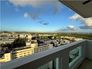 Coliseum Tower Sub-Penthouse
