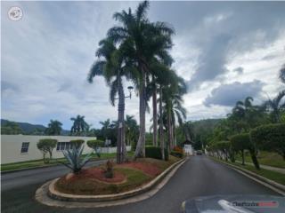 Urbanización Mansiones de Monte Verde, Cayey