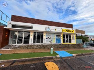 LOCAL COMERCIAL EN EXCELENTE UBICACION