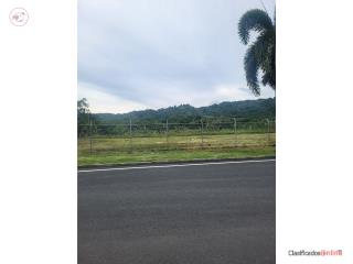 se arquiila terreno 1200 metros para food tru