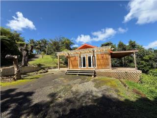 Dreamy Private Cabin Near El Yunque!