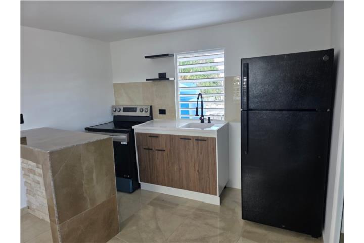 Barrio-Barrio Obrero BO. Obrero calle Cortijo 1/1 remodelado 1 pkg Apartamento en San Juan - Santurce