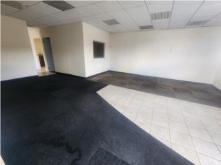 LOCAL COMERCIAL CON TERRENO CARR. PR 1 CAGUAS