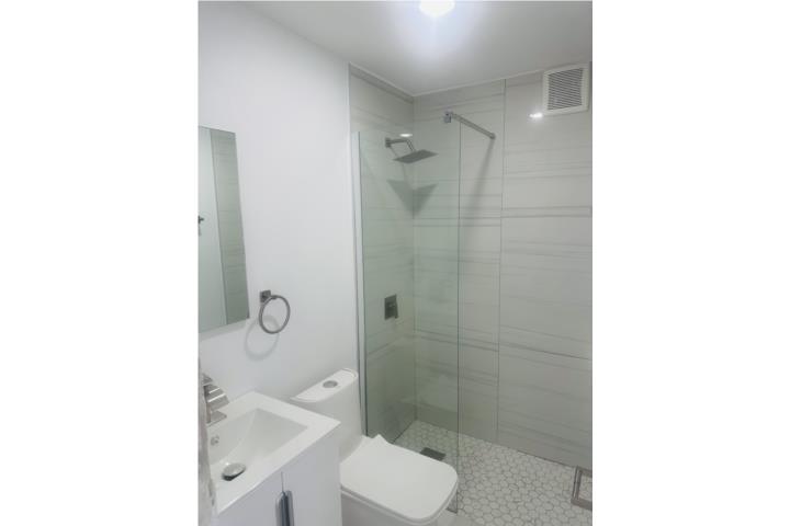 RIVERVIEW!AIRE!REMODELADO!1H/1B/A/LUZ/ENSERES