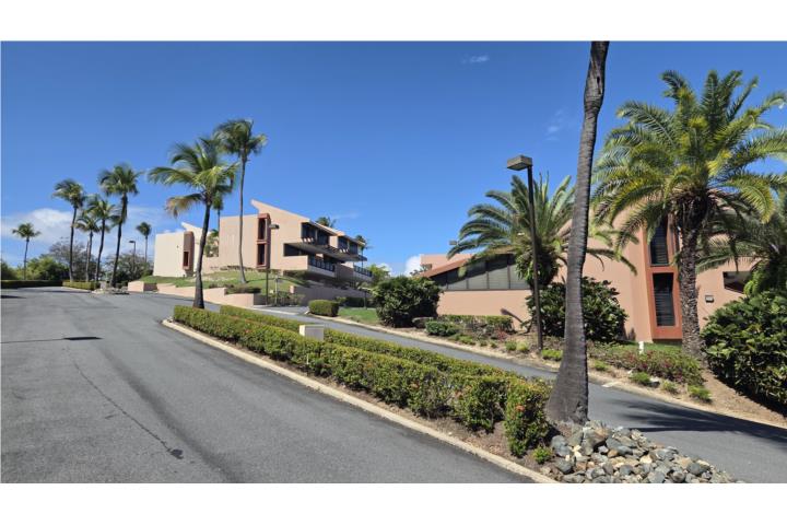 La Jolla en Palmas del Mar