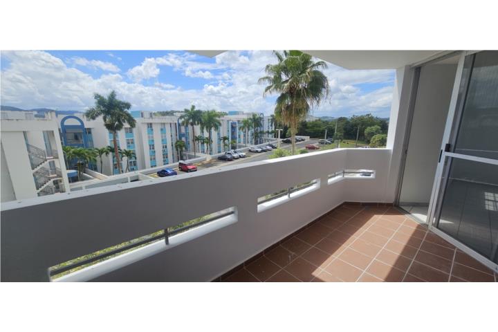 Montecillo Court Nueva en el mercado!!