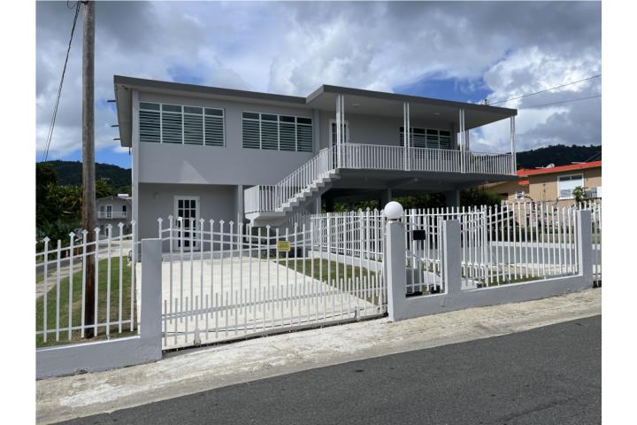 Barrio-Celada Bo. Celada Gurabo Inc. Agua Luz Internet Apartamento/WalkUp en Gurabo