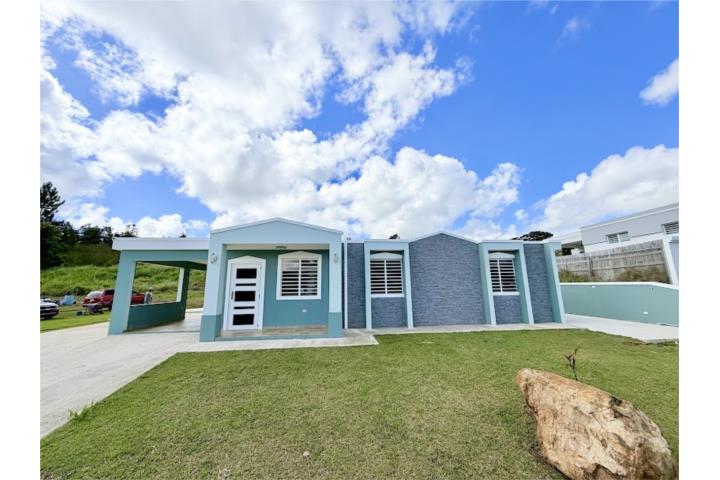 Barrio-Arenas Alquiler de Casa en Cidra Casa en Cidra