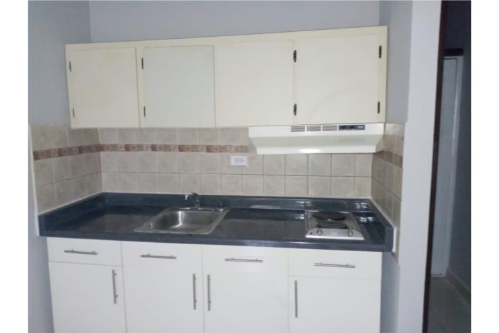 Urbanizacion-Floral Park Calle Italia 1/1 Floral Park Hato Rey Apartamento en San Juan - Hato Rey