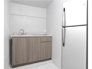 Modern Remodeled Studio Hyde Park