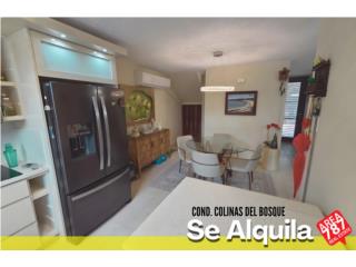 Colinas del Bosque-Tranquilo y Seguro