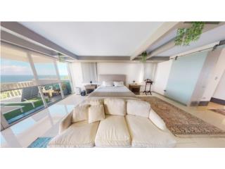 Astonishing Penthouse in Treasure Point!
