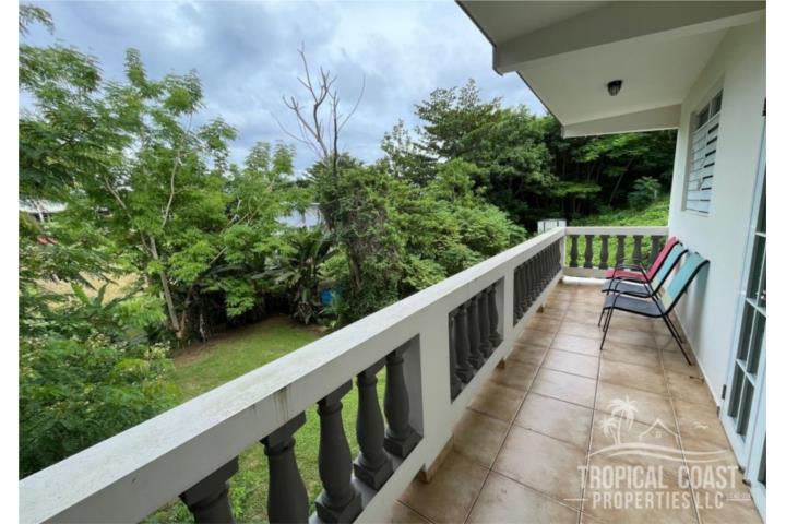 Wake up to ocean breezes & Sounds of Paradise