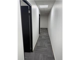Office for rent Condado Ashford Avenue