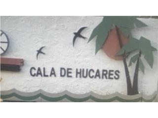 Bienes Raices  Puerto Rico