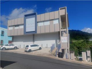 Apartamentos 2c/1b