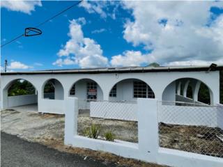 Bo. Paso Palmas, C�moda Casa, Agua y Luz Inc.