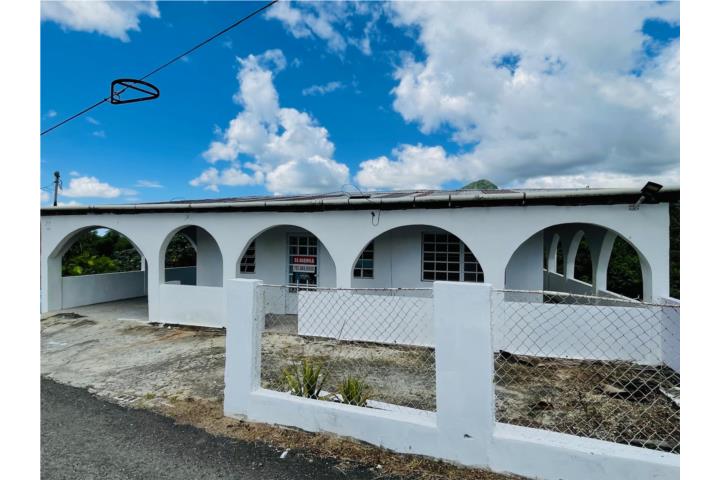Bo. Paso Palmas, Cómoda Casa, Agua y Luz Inc.
