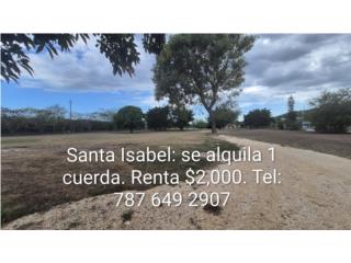 Santa Isabel se alquila solar de 1 cuerda. 