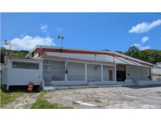 Almacen Industrial 33026 sqft - Calle Trocha 