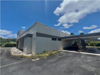 ALQUILER COMERCIAL | CAYEY, PR