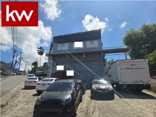 BO. CAMARONES, COMERCIAL EN GUAYNABO