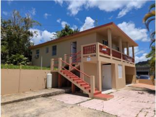 Alquiler Casa para Alquiler en Caguana Utuado