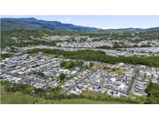 Urbanizaci�n Rancho Verde, Juncos