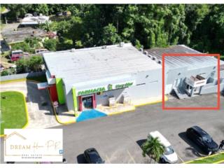 RENTA COMERCIAL SAN SEBASTI�N- Aprox. 700sqft