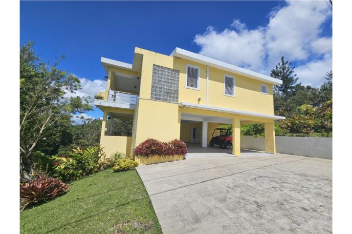 CASA DE 2 NIVELES EN NAGUABO