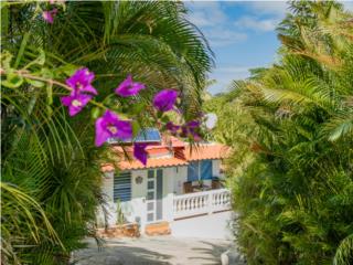 �Rinc�n! Casita Rodeada de Naturaleza!