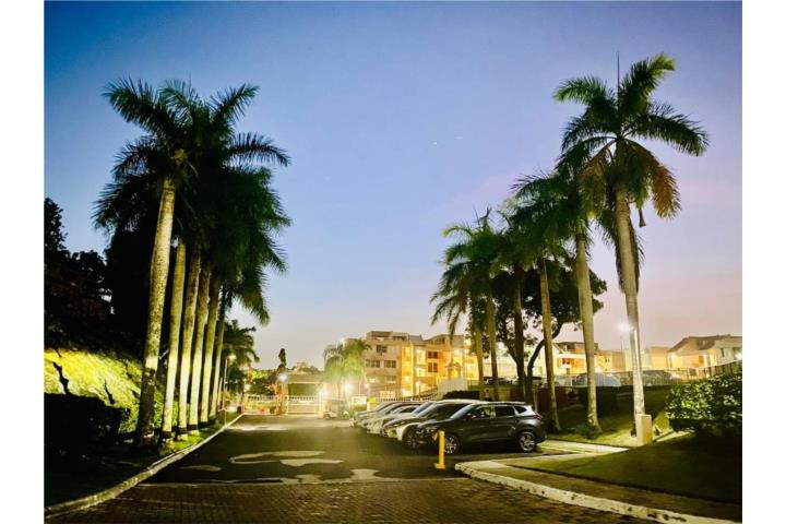 Beautiful City view Garden Apartment for Rent