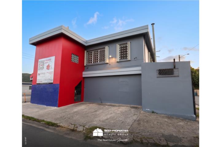 Urbanización Bairoa, Caguas