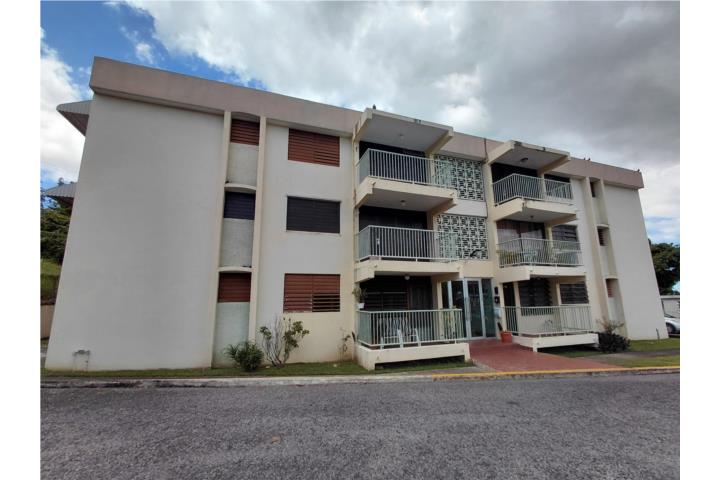 Condómino Doralba, Juana Díaz