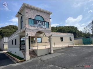 Propiedad Comercial Manat� #2