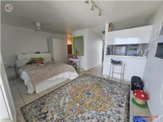 Apto Studio Hato Rey