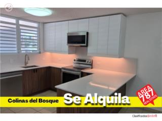 Colinas del Bosque-Tranquilo y Seguro