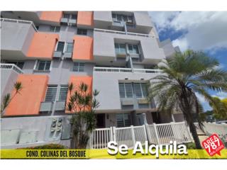 Bienes Raices  Puerto Rico