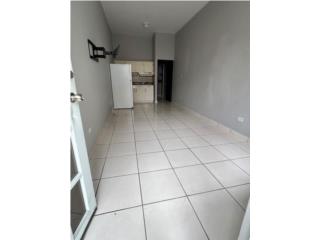 Urb Floral Park Hato Rey Calle Italia 523