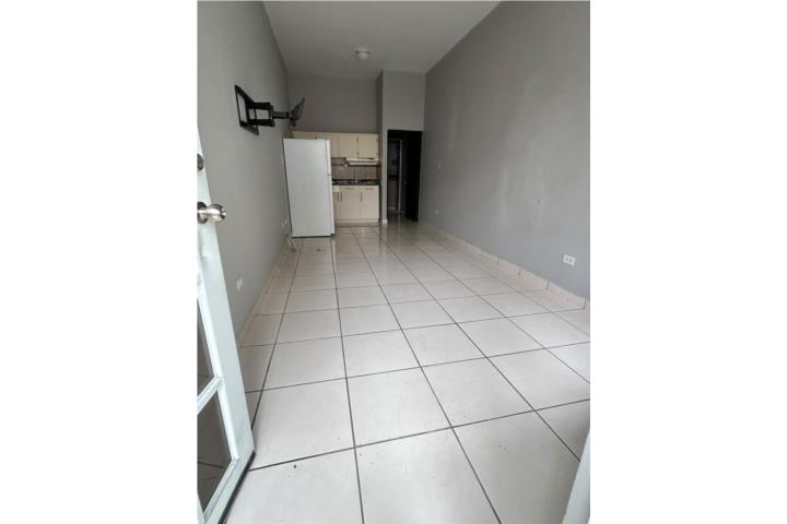 Urb Floral Park Hato Rey Calle Italia 523