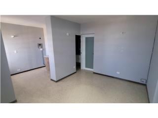 Ave Laurel Apt de 1h y 1b (APT-9)