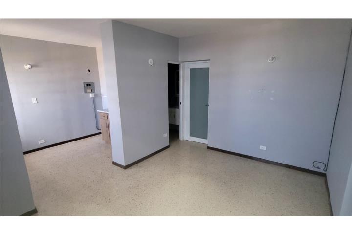 Ave Laurel Apt de 1h y 1b (APT-9)