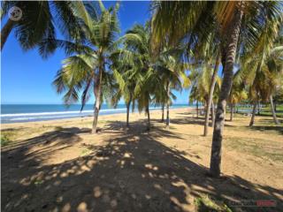 Playas del Yunque, Rio Grande.