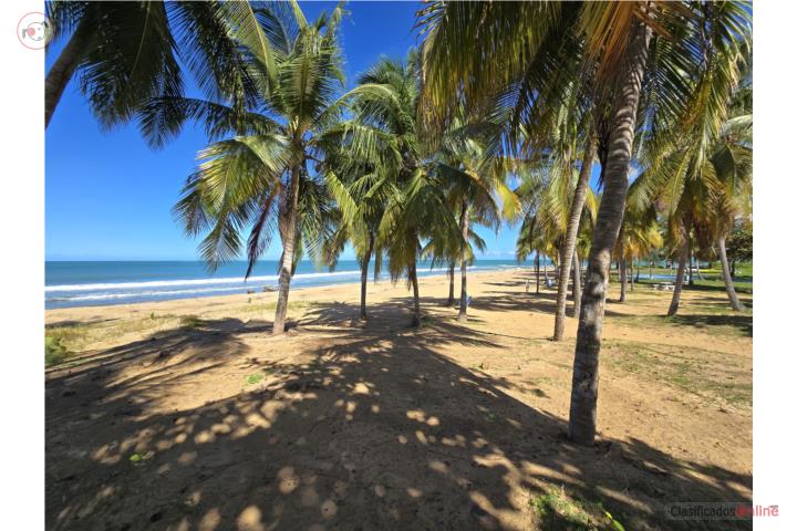 Playas del Yunque, Rio Grande.