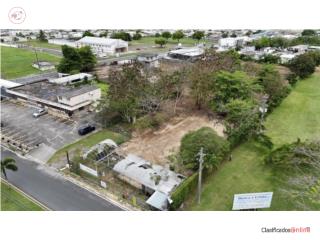 Solar comercial en alquiler en Vega Baja Lake