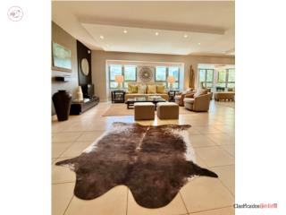 Gallery Plaza For Rent Fully Furnished