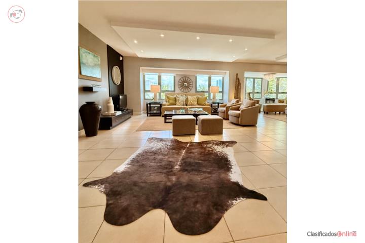 Gallery Plaza For Rent Fully Furnished