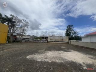Coamo Pueblo