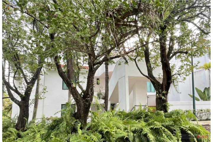 Condominio-Rio Mar Village Villa con Vista al Golf  Río Mar Village Apartamento/WalkUp en Río Grande