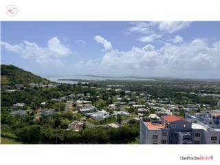 Cond La Costa Gardens, Executive Ocean View